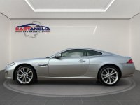 JAGUAR XK